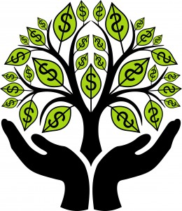 Money Tree Growth